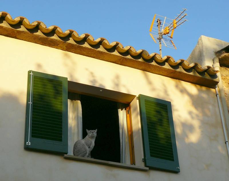 Devis pour l'achat d'une antenne satellite pour capter des chaines de l'étranger à St Etienne